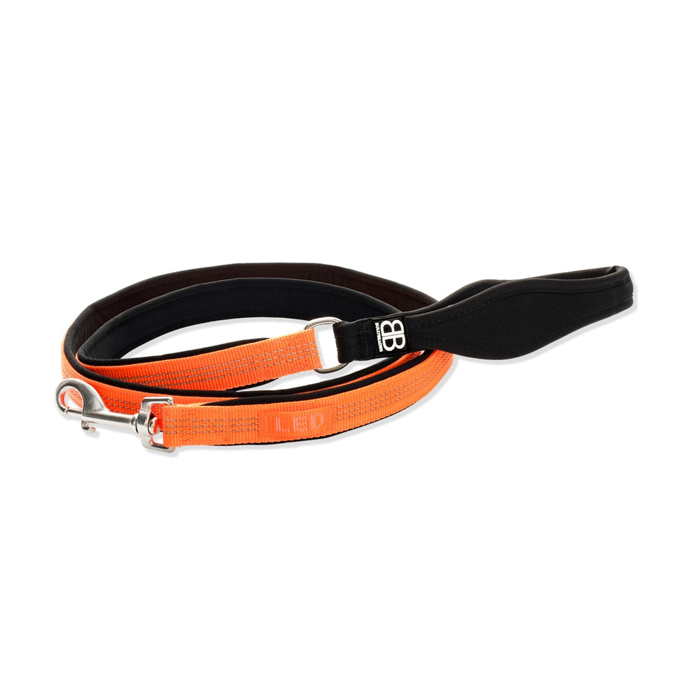 Bully Billows Active Light Lead 1.4M - Orange - The Pet Butcher - Bully Billows
