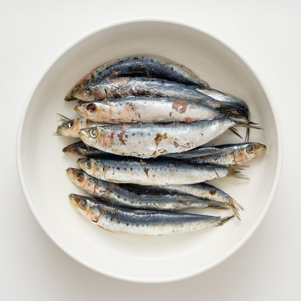 Sardines - The Pet Butcher - Raw Meat