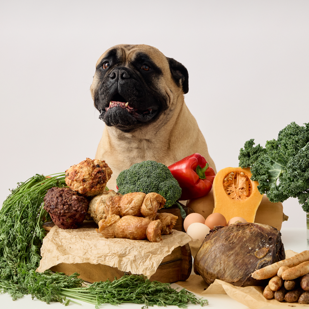 The Pet Butcher offering fresh pet food