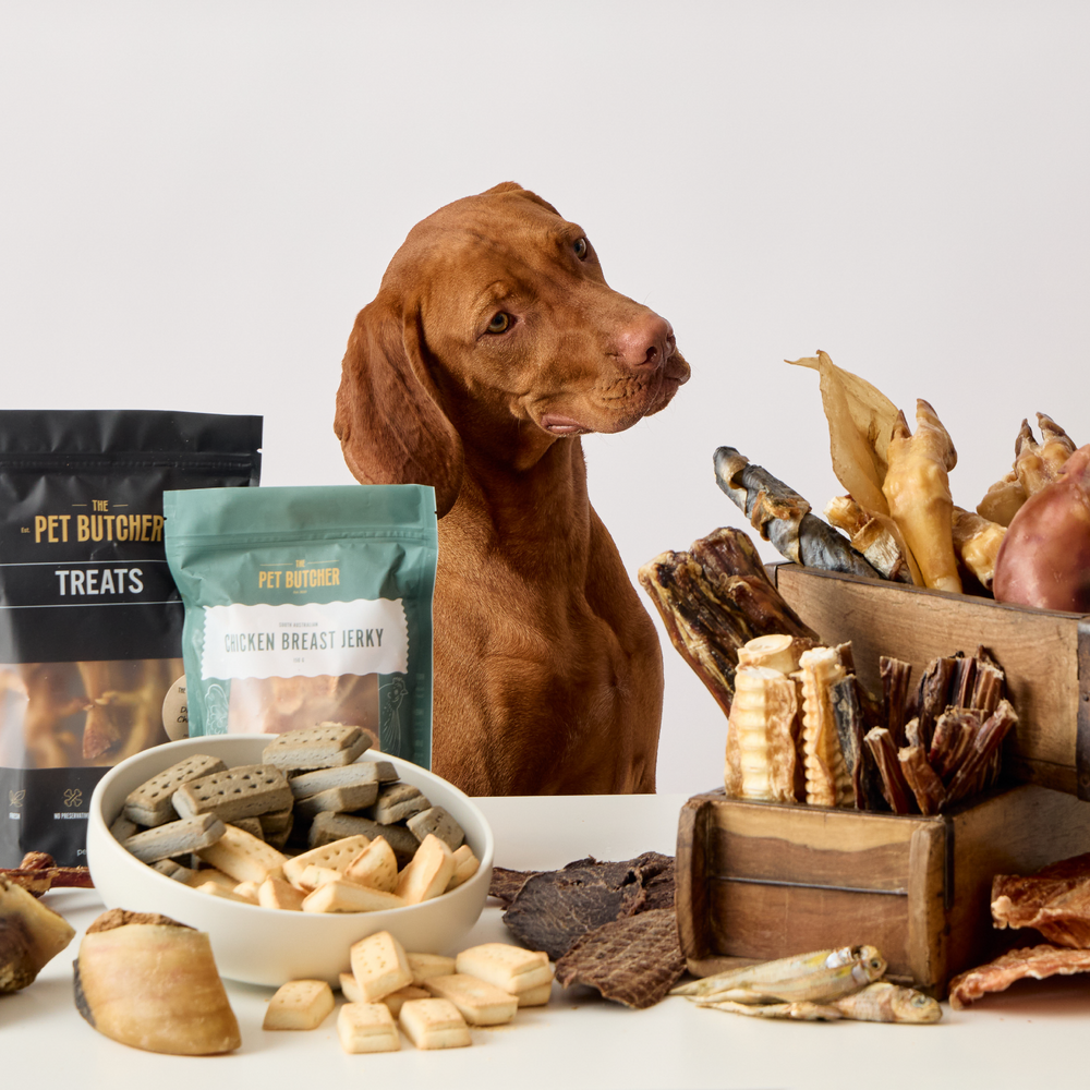 Dog butcher near deals me