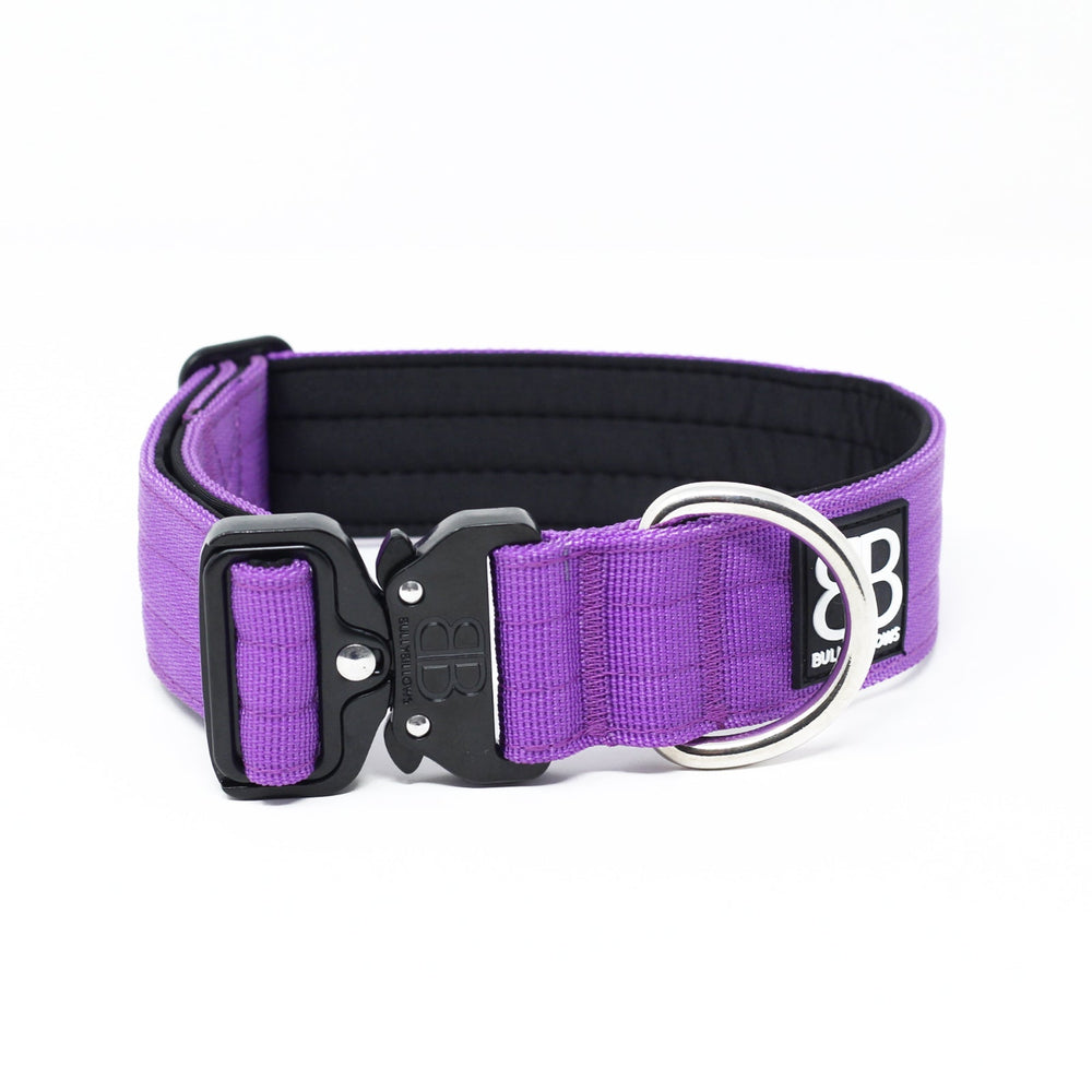 Bully Billows 4cm Combat® Collar | Rated Clip & No Handle - Purple v2.0 - The Pet Butcher - Bully Billows