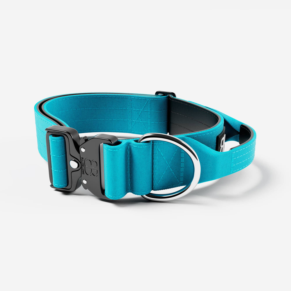 Bully Billows 4cm Combat® Collar | With Handle & Rated Clip - Light Blue v2.0 - The Pet Butcher - Bully Billows