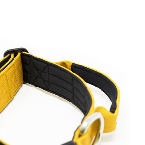 Bully Billows 4cm Combat® Collar | With Handle & Rated Clip - Mustard Yellow v2.0 - The Pet Butcher - Bully Billows