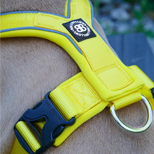 
            
                Load image into Gallery viewer, Bully Billows RR Slip on Harness - Yellow - The Pet Butcher - Bully Billows
            
        