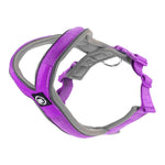 Bully Billows RR Slip on Padded Comfort Harness | Purple & Metal Grey - The Pet Butcher - Bully Billows